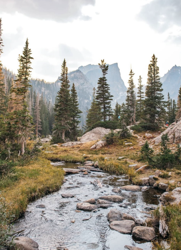 Screenshot 2026-03-21 at 9.22.11 AM