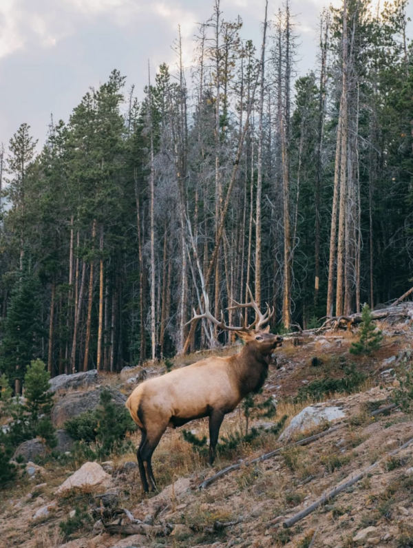 Screenshot 2026-03-21 at 9.22.26 AM