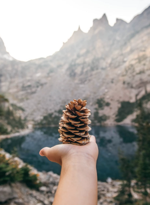 Screenshot 2026-03-21 at 9.44.14 AM