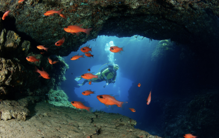 top 3 dive destinations