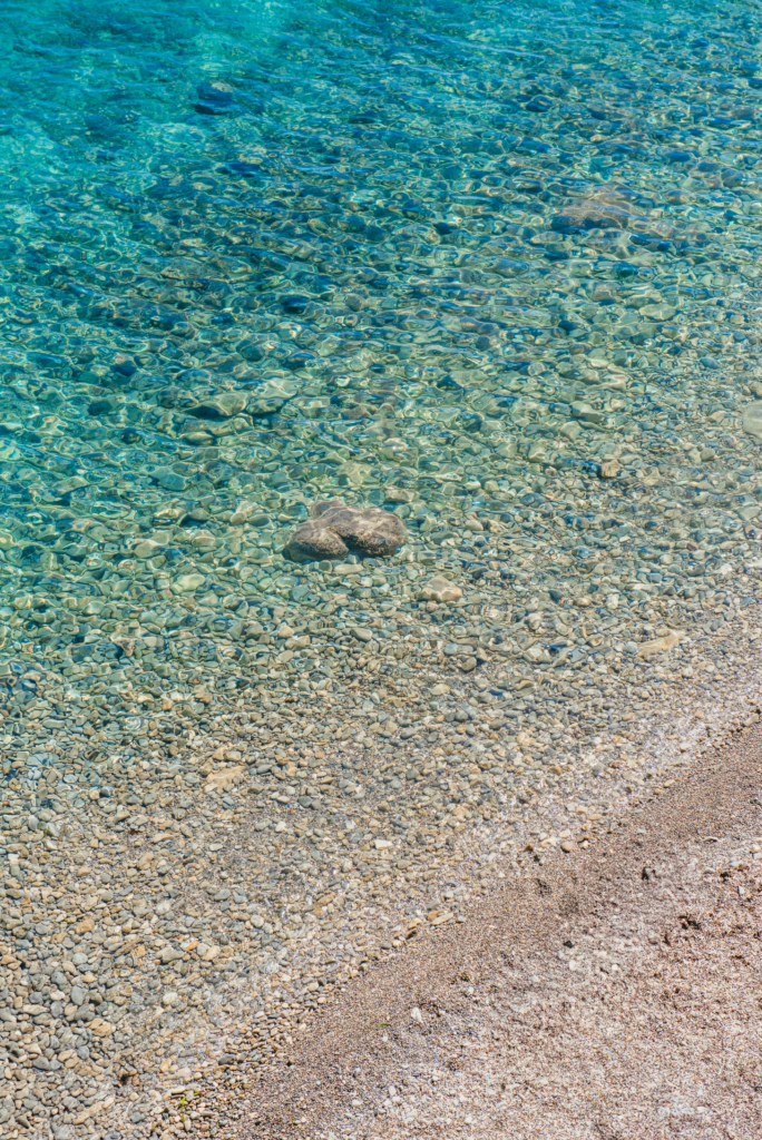 DSC_8324